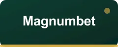 Magnumbet